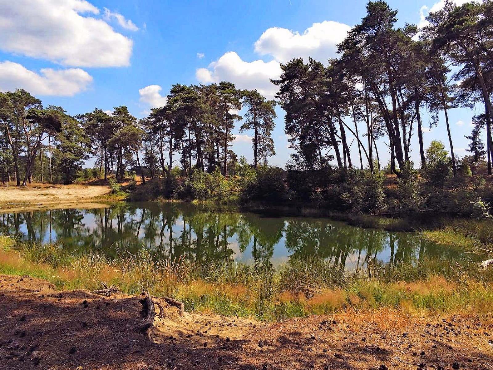Veluwe Vakantiehuis - Bosuil Lodge Lunteren Zewnętrze zdjęcie